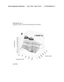 COMPOUNDS USEFUL AS INHIBITORS OF ATR KINASE AND COMBINATION THERAPIES     THEREOF diagram and image