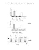 IMMUNOMODULATING COMPOUNDS AND RELATED COMPOSITIONS AND METHODS diagram and image