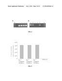 IMMUNOMODULATING COMPOUNDS AND RELATED COMPOSITIONS AND METHODS diagram and image