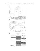 IMMUNOMODULATING COMPOUNDS AND RELATED COMPOSITIONS AND METHODS diagram and image