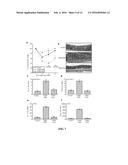 IMMUNOMODULATING COMPOUNDS AND RELATED COMPOSITIONS AND METHODS diagram and image