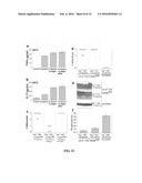 IMMUNOMODULATING COMPOUNDS AND RELATED COMPOSITIONS AND METHODS diagram and image