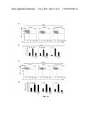 IMMUNOMODULATING COMPOUNDS AND RELATED COMPOSITIONS AND METHODS diagram and image