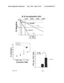 MATERIALS AND METHODS TO ENHANCE HEMATOPOIETIC STEM CELLS ENGRAFTMENT     PROCEDURES diagram and image