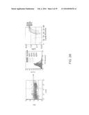 MATERIALS AND METHODS TO ENHANCE HEMATOPOIETIC STEM CELLS ENGRAFTMENT     PROCEDURES diagram and image