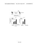 MATERIALS AND METHODS TO ENHANCE HEMATOPOIETIC STEM CELLS ENGRAFTMENT     PROCEDURES diagram and image