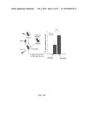 MATERIALS AND METHODS TO ENHANCE HEMATOPOIETIC STEM CELLS ENGRAFTMENT     PROCEDURES diagram and image