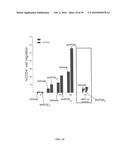 MATERIALS AND METHODS TO ENHANCE HEMATOPOIETIC STEM CELLS ENGRAFTMENT     PROCEDURES diagram and image