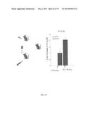 MATERIALS AND METHODS TO ENHANCE HEMATOPOIETIC STEM CELLS ENGRAFTMENT     PROCEDURES diagram and image