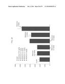 MATERIALS AND METHODS TO ENHANCE HEMATOPOIETIC STEM CELLS ENGRAFTMENT     PROCEDURES diagram and image