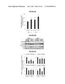 SELECTIVE NOX-1 INHIBITOR PEPTIDES AND USES THEREOF diagram and image