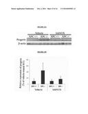 SELECTIVE NOX-1 INHIBITOR PEPTIDES AND USES THEREOF diagram and image