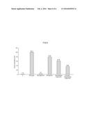 SULFORAPHANE/SULFORAPHANE PRECURSOR AND PHYTOSTEROL/PHYTOSTANOL     COMPOSITIONS diagram and image