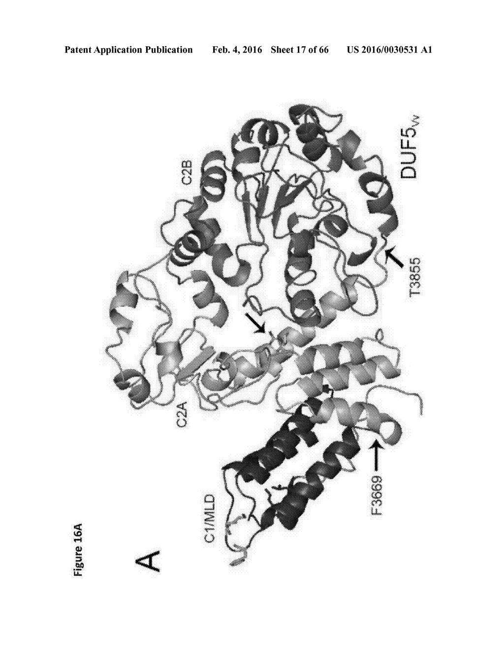 BACTERIAL TOXINS AND USES THEREOF AS RAS SPECIFIC PROTEASES - diagram, schematic, and image 18