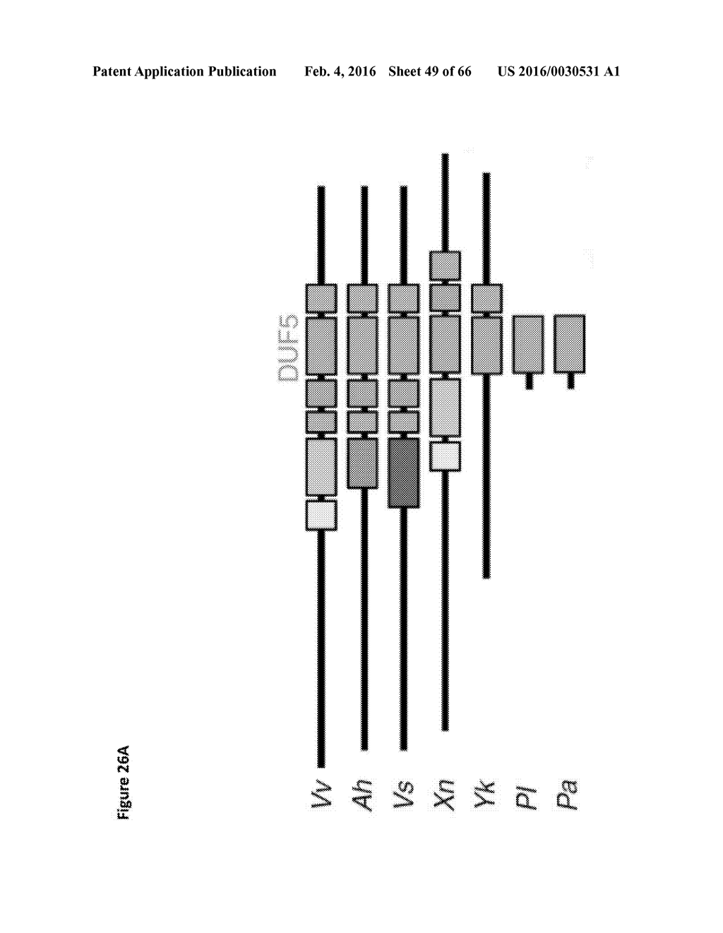 BACTERIAL TOXINS AND USES THEREOF AS RAS SPECIFIC PROTEASES - diagram, schematic, and image 50