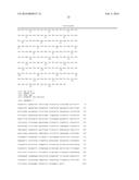 Vaccines Having an Antigen and Interleukin-23 As An Adjuvant diagram and image