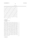 Vaccines Having an Antigen and Interleukin-23 As An Adjuvant diagram and image