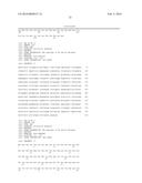 Vaccines Having an Antigen and Interleukin-23 As An Adjuvant diagram and image