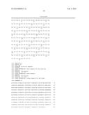 Vaccines Having an Antigen and Interleukin-23 As An Adjuvant diagram and image