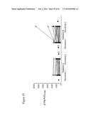 ITRACONAZOLE COMPOSITIONS AND DOSAGE FORMS, AND METHODS OF USING THE SAME diagram and image