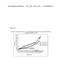 ITRACONAZOLE COMPOSITIONS AND DOSAGE FORMS, AND METHODS OF USING THE SAME diagram and image