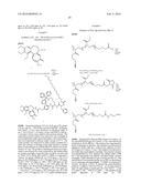 Polyoxazoline Antibody Drug Conjugates diagram and image