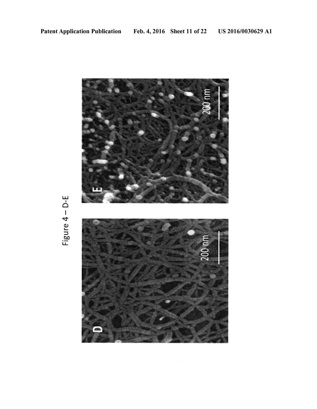 PEPTIDE-ALBUMIN HYDROGEL PROPERTIES AND ITS APPLICATIONS - diagram, schematic, and image 12