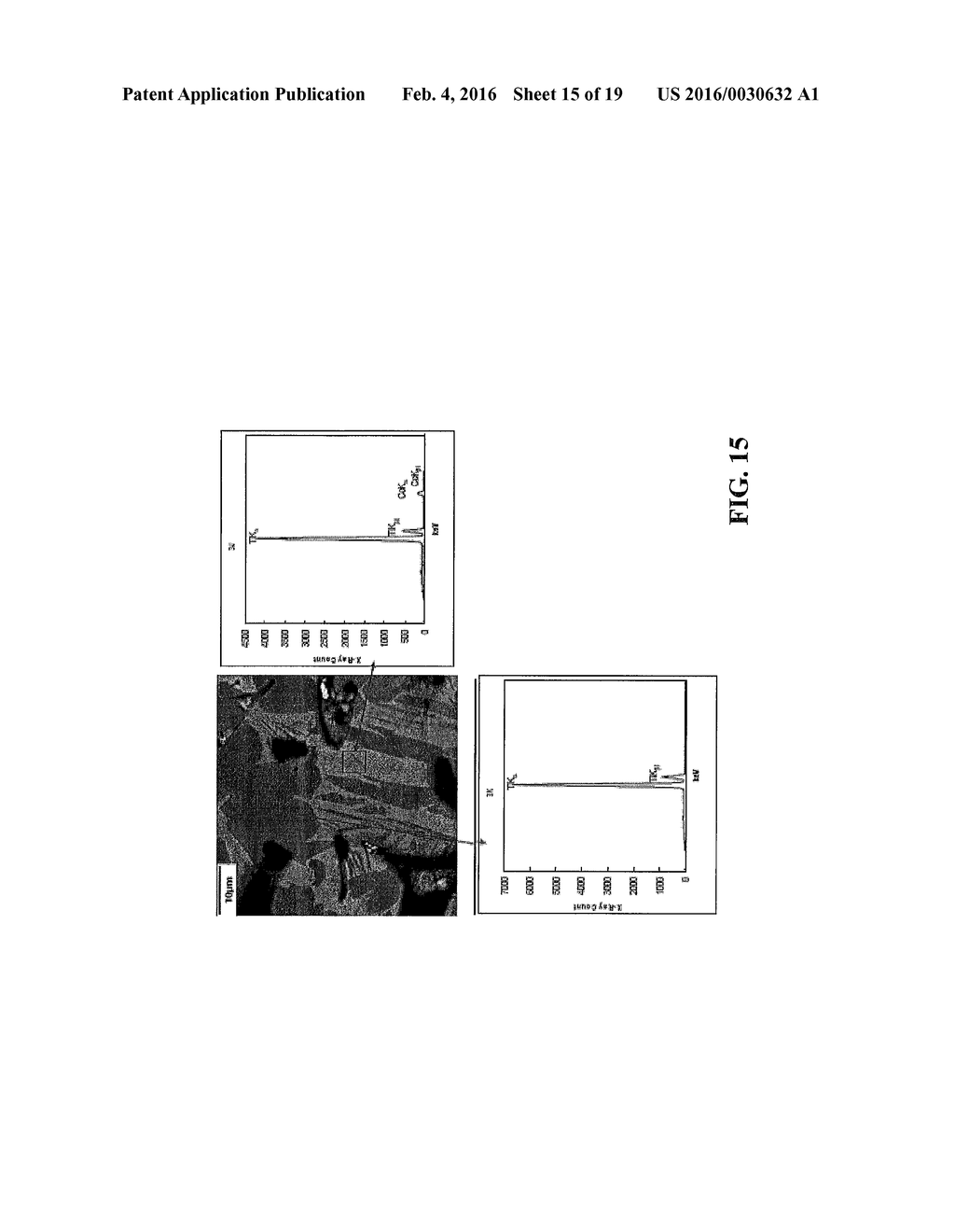 Bonding of Titanium Coating to Cast CoCr - diagram, schematic, and image 16