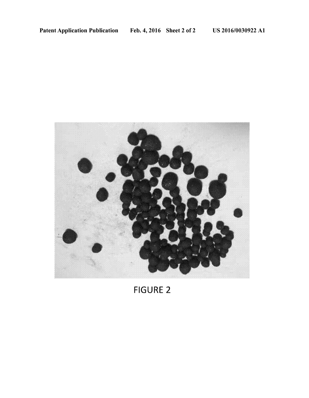 BIOCHAR PRODUCTS AND METHOD OF MANUFACTURE THEREOF - diagram, schematic, and image 03