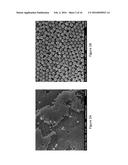 Porous Media Compositions and Methods for Producing the Same diagram and image