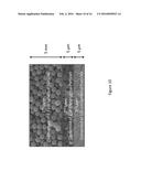 Porous Media Compositions and Methods for Producing the Same diagram and image