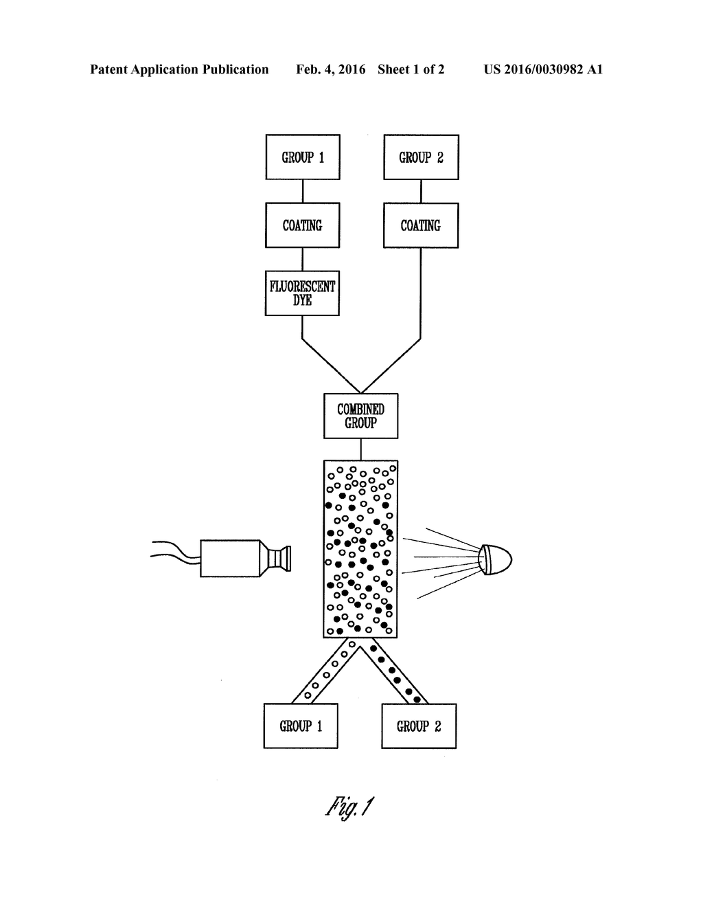 METHOD FOR SORTING RESISTANT SEED FROM A MIXTURE WITH SUSCEPTIBLE SEED - diagram, schematic, and image 02