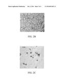 Amorphous Steel Composites with Enhanced Strengths, Elastic Properties and     Ductilities diagram and image