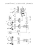 ELECTRIC BICYCLE diagram and image