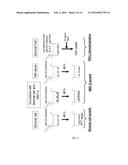 P62-ZZ CHEMICAL INHIBITOR diagram and image