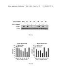 P62-ZZ CHEMICAL INHIBITOR diagram and image