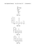 OLIGO-BENZAMIDE COMPOUNDS AND THEIR USE IN TREATING CANCERS diagram and image