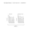 OLIGO-BENZAMIDE COMPOUNDS AND THEIR USE IN TREATING CANCERS diagram and image