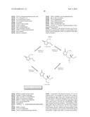 LACTAM COMPOUNDS AS EP4 RECEPTOR-SELECTIVE AGONISTS FOR USE IN THE     TREATMENT OF EP4-MEDIATED DISEASES AND CONDITIONS diagram and image