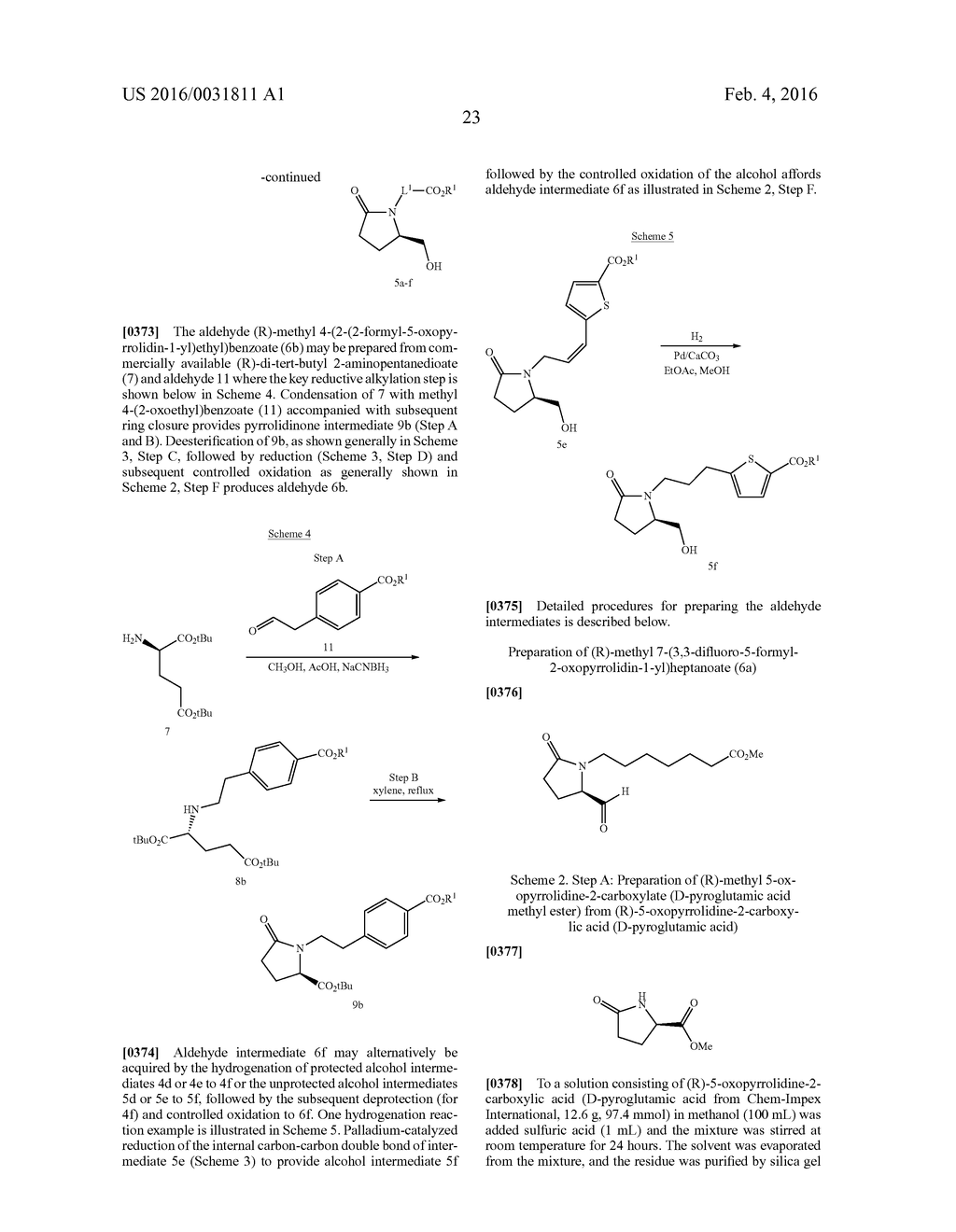 LACTAM COMPOUNDS AS EP4 RECEPTOR-SELECTIVE AGONISTS FOR USE IN THE     TREATMENT OF EP4-MEDIATED DISEASES AND CONDITIONS - diagram, schematic, and image 24