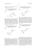 LACTAM COMPOUNDS AS EP4 RECEPTOR-SELECTIVE AGONISTS FOR USE IN THE     TREATMENT OF EP4-MEDIATED DISEASES AND CONDITIONS diagram and image