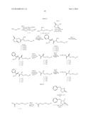 LACTAM COMPOUNDS AS EP4 RECEPTOR-SELECTIVE AGONISTS FOR USE IN THE     TREATMENT OF EP4-MEDIATED DISEASES AND CONDITIONS diagram and image