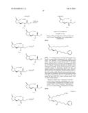 LACTAM COMPOUNDS AS EP4 RECEPTOR-SELECTIVE AGONISTS FOR USE IN THE     TREATMENT OF EP4-MEDIATED DISEASES AND CONDITIONS diagram and image