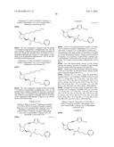 LACTAM COMPOUNDS AS EP4 RECEPTOR-SELECTIVE AGONISTS FOR USE IN THE     TREATMENT OF EP4-MEDIATED DISEASES AND CONDITIONS diagram and image