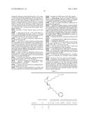 LACTAM COMPOUNDS AS EP4 RECEPTOR-SELECTIVE AGONISTS FOR USE IN THE     TREATMENT OF EP4-MEDIATED DISEASES AND CONDITIONS diagram and image