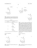 SEPIAPTERIN REDUCTASE INHIBITORS FOR THE TREATMENT OF PAIN diagram and image