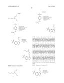 SEPIAPTERIN REDUCTASE INHIBITORS FOR THE TREATMENT OF PAIN diagram and image