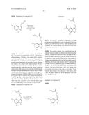 SEPIAPTERIN REDUCTASE INHIBITORS FOR THE TREATMENT OF PAIN diagram and image