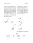 SEPIAPTERIN REDUCTASE INHIBITORS FOR THE TREATMENT OF PAIN diagram and image