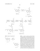 SEPIAPTERIN REDUCTASE INHIBITORS FOR THE TREATMENT OF PAIN diagram and image